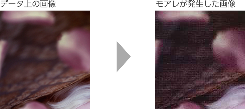 スキャニングしたデータ
