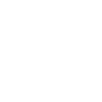 お花型タイプ